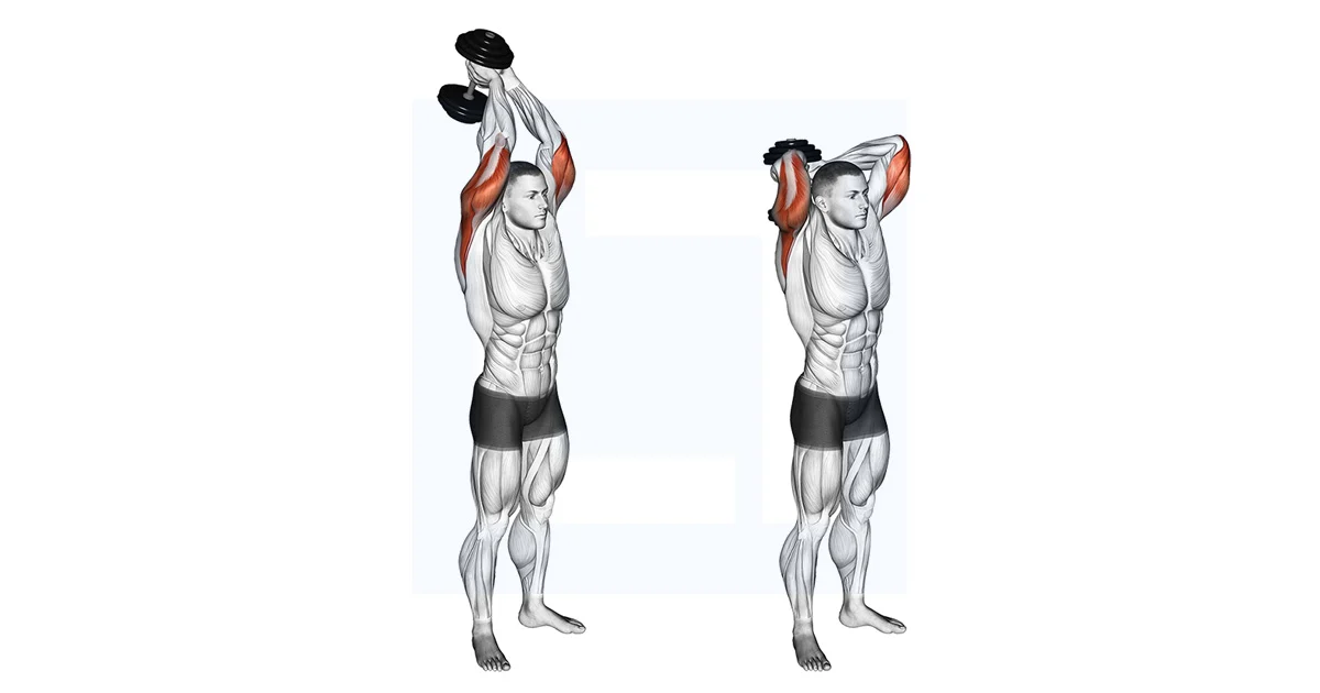 Tricep Pushdown
